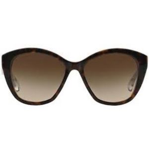 Dolce & Gabbana Havana Brown Clear Sunglasses
